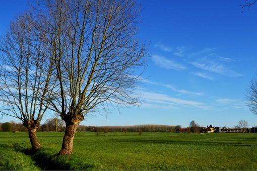 Campagna. Paesaggio di alberi, coltivi, acqua e villaggi.