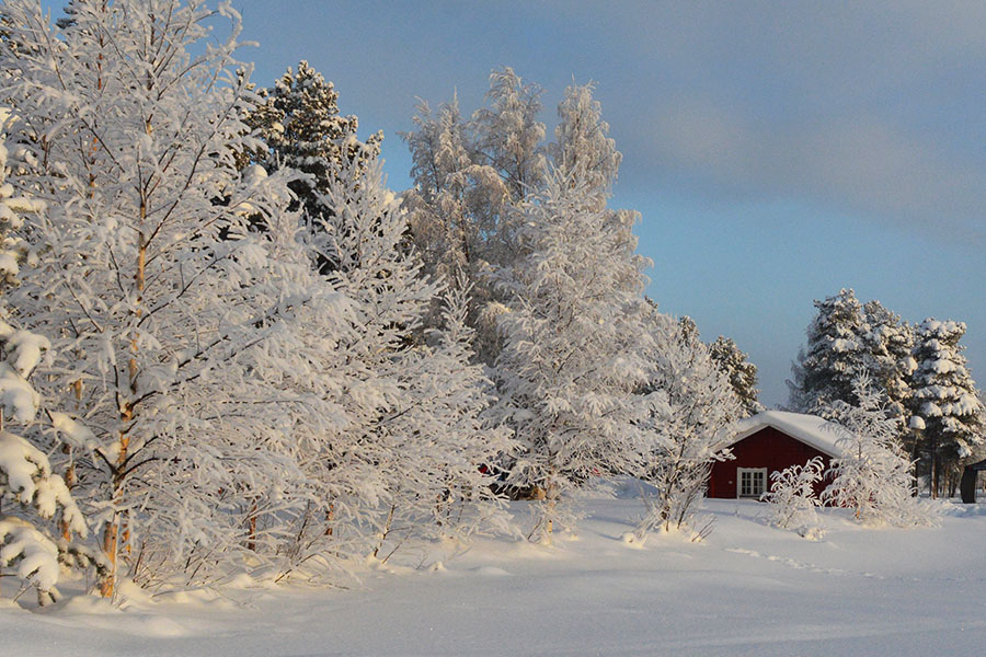 Lapland. Un mondo magico, dalle luci color pastello.